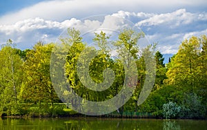 Spring in park at lake, green trees, blue sky clouds in background