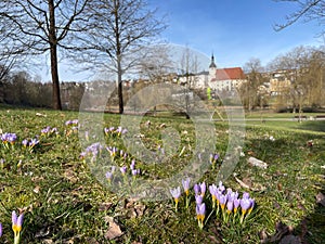 spring in the park in reichenbach im Vogtland, city saxony germany