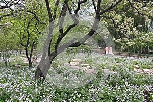 Spring park