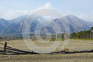 Spring pasture in the Tunkinskaya valley at the foot of Sayan Mountains, Buryatia