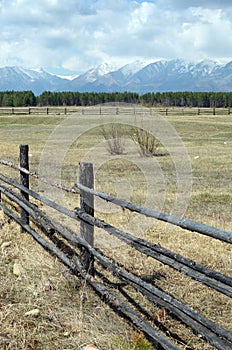 Spring pasture in the Tunkinskaya valley at the foot of the Sayan Mountains, Buryatia