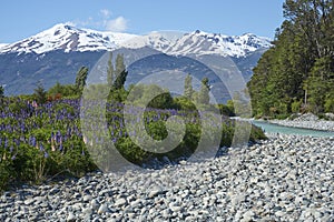 Spring in Patagonia along the Carretera Austral