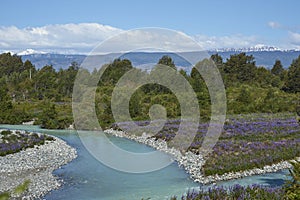 Spring in Patagonia along the Carretera Austral