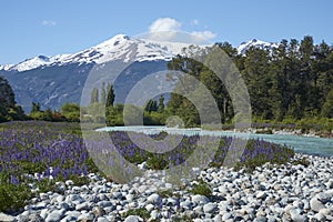 Spring in Patagonia along the Carretera Austral