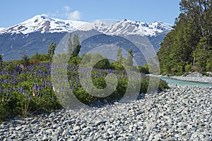 Spring in Patagonia along the Carretera Austral photo