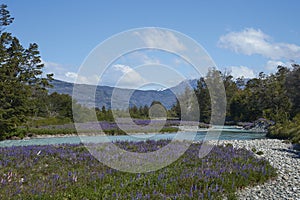 Spring in Patagonia along the Carretera Austral photo