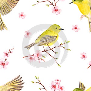 Spring pattern with birds and green young branches. Fresh background.