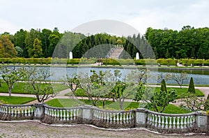 Spring in Petergof park