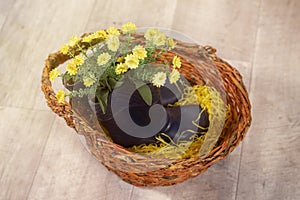 Spring photo with flowers in rubber children`s boots in a basket