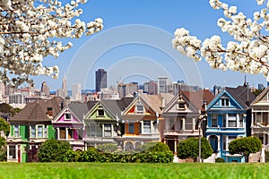 Spring photo of Painted ladies and San Francisco s photo