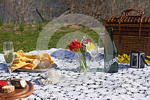 Spring Picnic