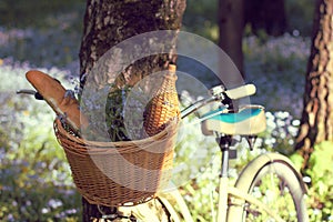 Spring picnic on the nature