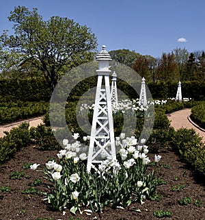 White Cubed Tulip Garden