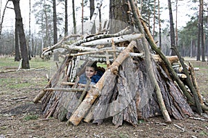 In the spring in a pine forest, the boy built a hut of sticks.