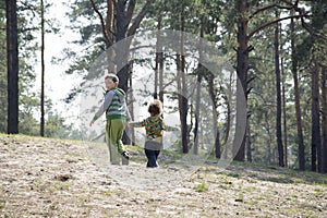 Spring in a pine forest with brother little sister holding hands