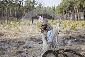 Spring in a pine forest girl sitting on driftwood.