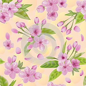 Spring pink blooming cherry or sakura branch. for seasonal spring sale,template greeting card or wedding invitation