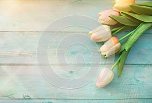 Spring pink bouquet of tulips flower on color wooden background. Tulip, gardening concept. Top view, copy space for text