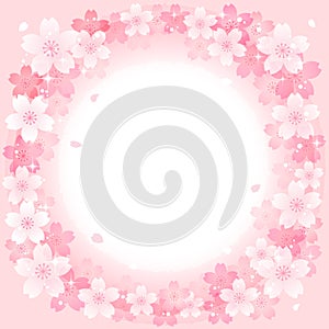 Spring Pink Cherry Blossoms Circle background