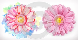 Spring pink flowers, Daisy, watercolor and 3d realism photo