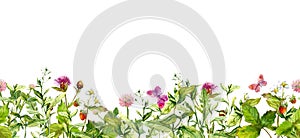 Spring pink flowers, summer wild grass, field herbs, butterflies. Seamless floral border. Watercolor repeated frame