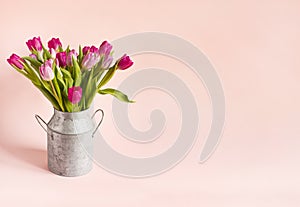 Spring pink tulips background