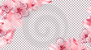 Spring pink vector illustration with cherry blossom flowers, flying petals. Pink sakura.