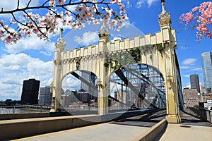 Spring in Pittsburgh city