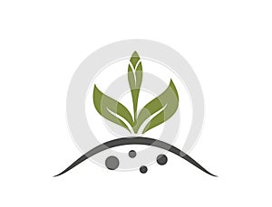 spring plant bud icon. sprout, planting and germinate symbol