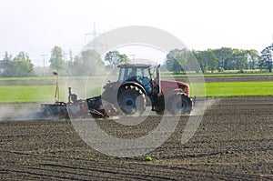 Spring planting