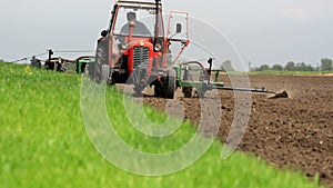 Spring planting corn in a field