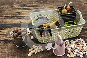 Spring planting and gardening concept. Tools, watering can, fresh onion bulbs in a bucket, expanded clay, sand, seeds. Wooden