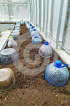 Spring planting in a home greenhouse. plant seeds in a greenhouse or tunnel, closing a plastic bottle from frost