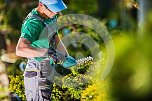 Spring Plants Trimming Work