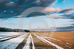 Spring Plowed Field Partly Covered Winter Melting Snow Ready For New Season. Ploughed Field In Early Spring. Farm