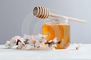 Spring Polyfloral Honey and flowering branch apricots