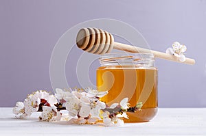 Spring Polyfloral Honey and flowering branch apricots