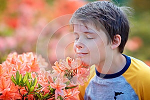 Spring portrait of cute attractive 10 year old boy smelling blossoming pink Rhododendron in the garden