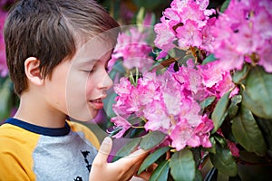 Spring portrait of cute attractive 10 year old boy smelling blossoming pink Rhododendron in the garden