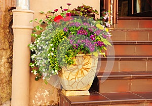 Spring potted flowers and garden shed. Flower bed in cozy flower pot for entrance door decoration.