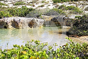 Spring of pure and crystalline drinking water, forming a stream. Atins region, Maranhao, Brazil