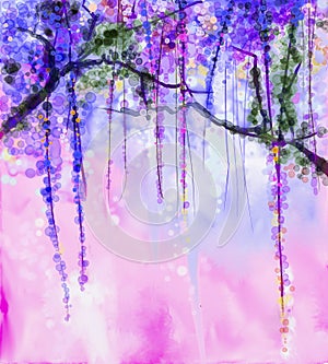 Spring purple flowers Wisteria watercolor painting