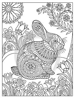 Spring rabbit coloring page for adult and children