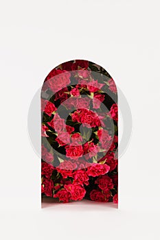 Spring red flowers - roses as rounded arch in perspective niche on abstract white stage mockup for showing of cosmetic products.