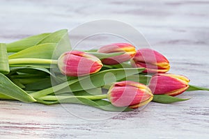 Spring Red Tulips on Table