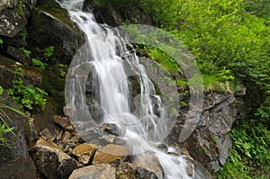 Spring rill flow in mountain