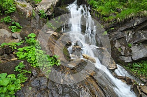 Spring rill flow in mountain photo