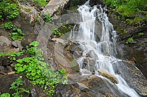 Spring rill flow in mountain photo