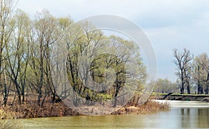 Spring on the River