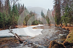 Spring river freed from ice spring trees